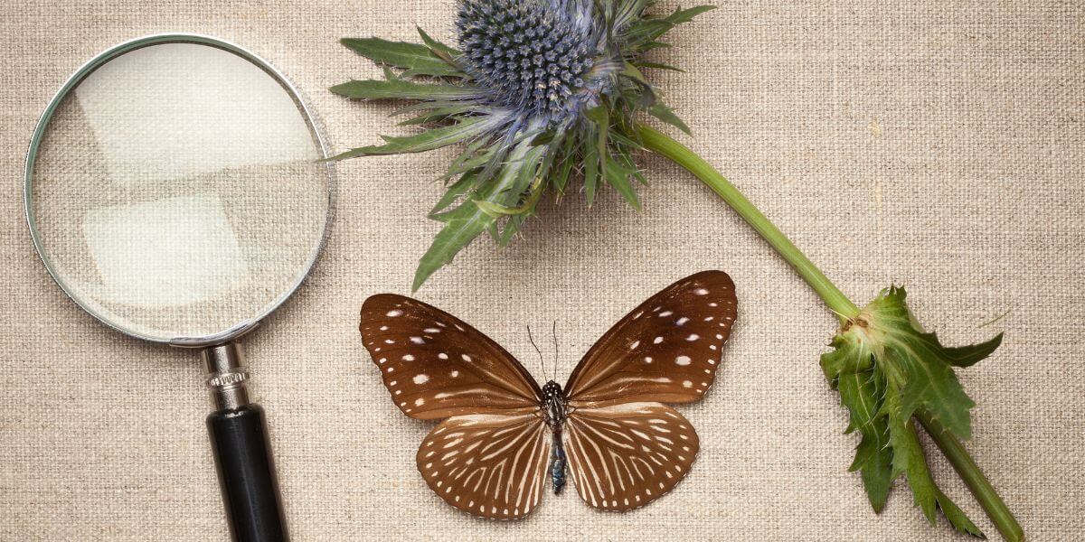 生物のリメディアルのイメージ